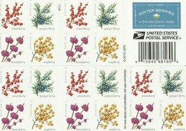 Winter Berries Book of 20  -  Stamps Scott 5418b - $35.95