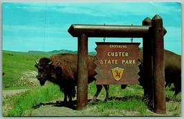 Buffalo at Entry Sign Custer State Park South Dakota SD UNP Chrome Postcard I3 - £7.78 GBP