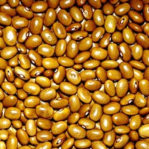 New Fresh Seeds Yellow Indian Woman Dry Bush Bean Seeds Swedish Vegetable - $15.64