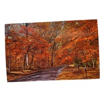 Postcard Autumn Leaves Orange Fall Chrome Posted - £5.51 GBP