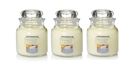 Yankee Candle Juicy Citrus &amp; Sea Salt Small Jar Candle Single Wick - Lot of 3 - £21.11 GBP