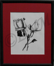 Roses Charcoal Pencil Drawing - $25.00