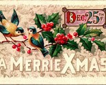 A Merrie Xmas Dec 25th Birds Holly Embossed 1910s Postcard Made in Germany - $3.91