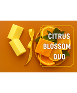 Citrus Blossom Duo - $11.99