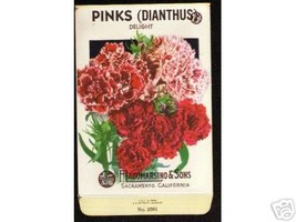 1920&#39;s Flower seed Packet Lago Pinks Dianthus Delight - £7.81 GBP