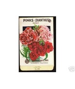 1920&#39;s Flower seed Packet Lago Pinks Dianthus Delight - £7.96 GBP