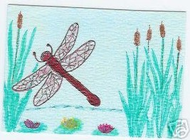 Dragonfly Cat Tails Water lilys Original ACEO cattails - £7.81 GBP