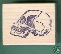 Human Skull side view Rubber stamp skeletal anatomy - £5.59 GBP