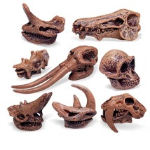 8Pcs Realistic Mini Mammal Skull Set Prehistoric Animals For Sandbox Kids Toys W - £31.49 GBP