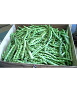 Beans, White Greasy Pole Beans Non-Gmo, Heirloom, Organic, Amish  - £6.28 GBP