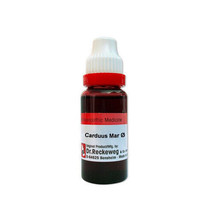 4x Dr Reckeweg Carduus Marianus Q Mother Tincture 20ml - $39.97