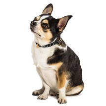 BECHIVA Soft real leather collar for small dogs/cats. Chihuahua, Yorkshire Terri - £37.48 GBP