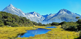 AllenbyArt Ansel Adams Landscape Scenery of New Zealand Wall Art Poster Decor  - £23.89 GBP+