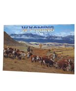 Postcard Wyoming Cattle Drive Hereford Cows Western Cowboy Chrome Unposted - $7.03