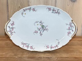 Charles Field Haviland Limoges Schlerger 1328 Platter 14 1/4 × 9 1/2 - £36.78 GBP