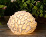 Barbara King 12&quot; Illuminated Detailed Great Star Coral Sandstone in White - $193.99