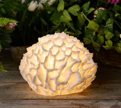 Barbara King 12&quot; Illuminated Detailed Great Star Coral Sandstone in White - £154.70 GBP