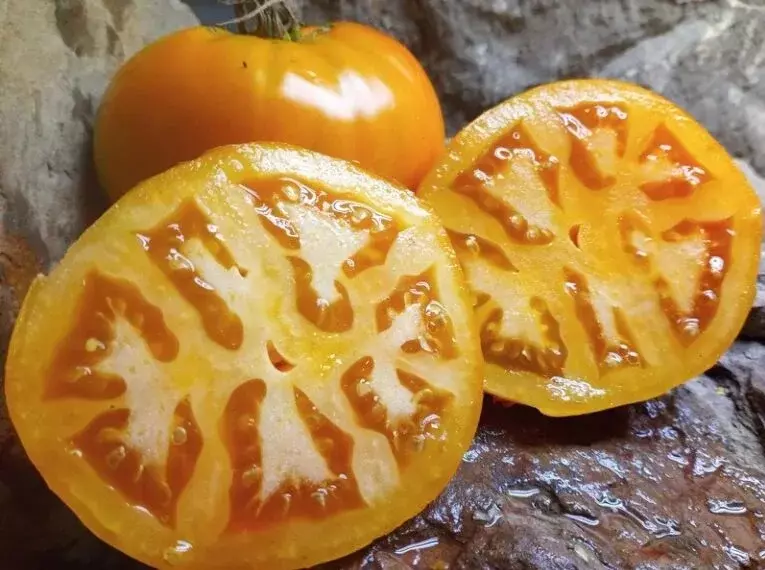 SYST 10 Seeds Golden Jubilee Tomato Heirloom Organic Non Gmo - $9.38