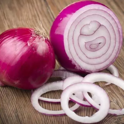 TISS 200 Red Creole Onion Seeds Non GMO Seed Store 1070 Garden Seeds - £6.80 GBP