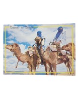 Postcard Moroccans Riding Dromedary Camel Morocco Chrome Unposted - $4.88