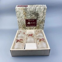 Rare Vintage Japanese Plum Blossom Frosted Water/Juice Glass Set - $78.90
