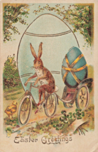 Anthropomorphic Rabbit Rides Bicycle Pulling Egg In TRAILER-1909 Easter Postcard - £11.18 GBP
