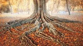 50,000,000X COVEN CLEARING ROOT ENERGY OF WHY THEY ATTACK MAGICK  image 2