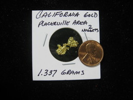 2 CALIFORNIA GOLD NUGGET PLACERVILLE AREA 1.337 GRAMS HIGH PURITY - $157.99