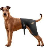 Dog Hip Brace Female L – Hot/Cold Compress Support for Hip Dysplasia &amp; A... - €42,57 EUR