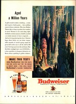 1937 Budweiser Ad ~ Inside A Cave ~ Make This Test! Nostalgic d7 - £19.16 GBP