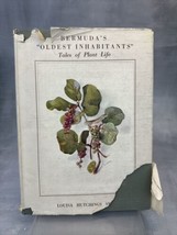 1938 Bermuda&#39;s Oldest Inhabitants - Tales of Plat Life by Louisa Smith HC - £26.99 GBP
