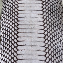 Backcut Cobra Snake Skin Hide Leather Snakeskin Craft Supply Natural Glossy - $15.53+