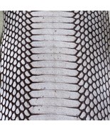 Backcut Cobra Snake Skin Hide Leather Snakeskin Craft Supply Natural Glossy - $15.53+