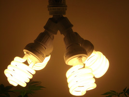 300 WATT CFL ENERGY SMART GROW LIGHT KIT/ SET- FOR BLOOM- NO CORD - $47.68 CAD