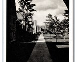 West Campus Walk Duke University Durham North Carolina NC UNP WB Postcar... - £4.72 GBP