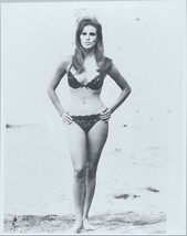 Raquel Welch full length in black bra and panties hands on hips 8x10 photo - £9.59 GBP
