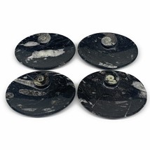 744g, 4pcs, 4.7&quot;x3.8&quot; Small Black Fossils Ammonite Orthoceras Bowl Oval Ring,B88 - £48.11 GBP