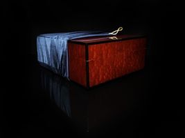 Elie Bleu Dappled Sepele  Humidor 75 count NIB Made in France image 8
