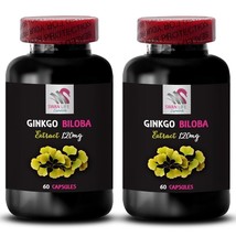 Mental Clarity - Ginkgo Biloba Extract - Memory Aid 2 Bottle 120 Capsules - $34.16