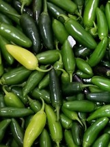 Jalapeno Tam Pepper Seeds 50+ Hot Vegetable  Heirloom   From US - £5.46 GBP