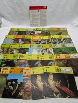 Lot Of (29) 1975 Rencontre Birds III Education Cards - $39.59