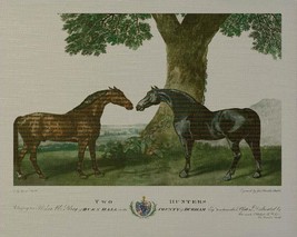Wall Art Print Bay and Chestnut Horse 36x29 29x36 Light Gray Linen Unfr - £296.47 GBP