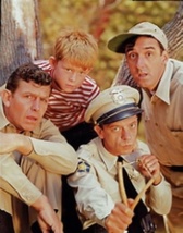 Andy Griffith Show complete series - £19.71 GBP