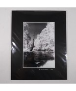 Black Mat Photo Landscape Park Infrared Photography Limited Ed 1/2 Signe... - $19.40