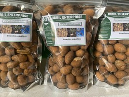 Fresh dried fruits of Balanites aegyptiaca(desert dates), 100g fruits/12... - $34.00