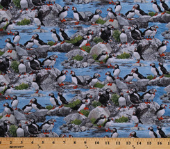 Puffins Seabirds Animals Wildlife Scenic Cotton Fabric Print by the Yard D581.46 - £9.55 GBP