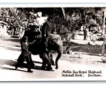 RPPC Nellie The Royal Elefante Mitchell Park Durban South Africa Cartoli... - $7.99