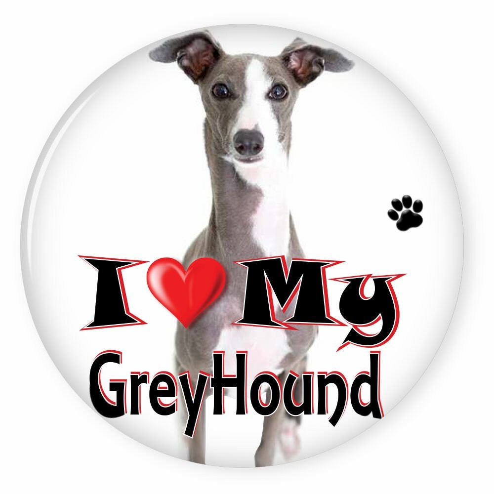 I Love My GREYHOUND - Dog Puppy 3&quot; CAMPAIGN Pin Back Button For your fav... - $7.99