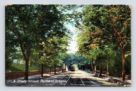 Not the Only Shady Street View in Portland Oregon OR 1909 DB Postcard P12 - £3.84 GBP
