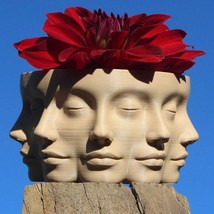 The VASE FACE | Face Planter for Succulents, Cactus, Plants - £11.99 GBP